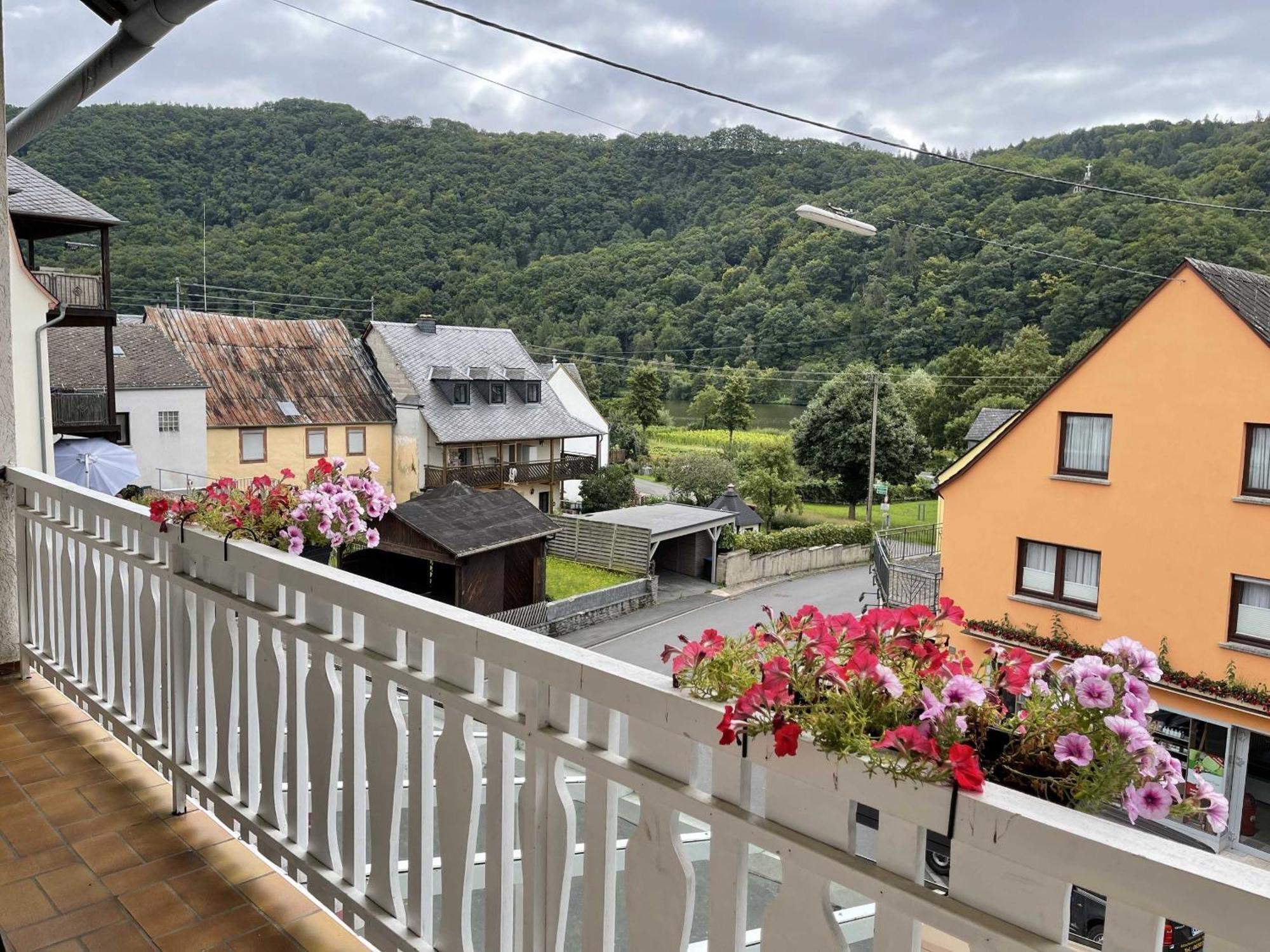 Hotel Zur Mosel Minheim Luaran gambar